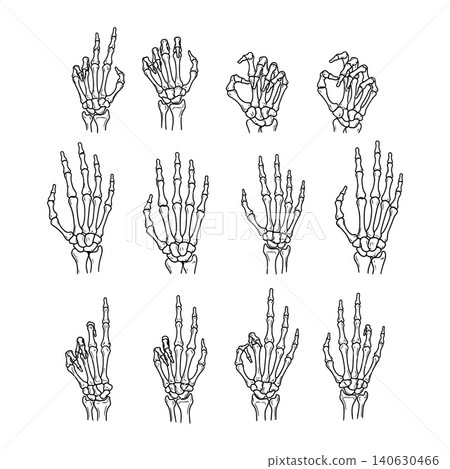 Twelve unique skeleton hand gesture illustrations in black line art Twelve unique skeleton hand gesture illustrations in black line art 140630466