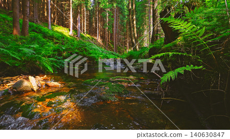 Crystal clear forest stream flowing through lush green woodland. Peaceful natural landscape with moss covered rocks, fresh water and tranquil wilderness atmosphere. Crystal clear forest stream flowing through lush green woodland. Peaceful natural landscape with moss covered rocks, fresh water and tranquil wilderness atmosphere. 140630847