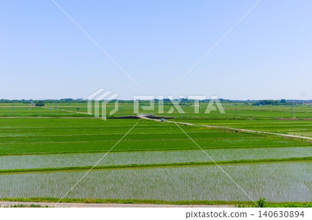 2026年5月,千葉縣柏市利根川週邊地區 2026年5月,千葉縣柏市利根川週邊地區 140630894