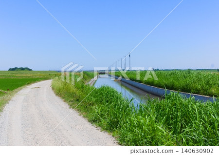 Around the Tone River in Kashiwa City, Chiba Prefecture, May 2026 Around the Tone River in Kashiwa City, Chiba Prefecture, May 2026 140630902