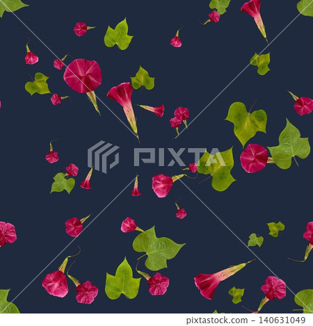 Seamless pattern of pressed pink morning glories on a navy background. Seamless pattern of pressed pink morning glories on a navy background. 140631049
