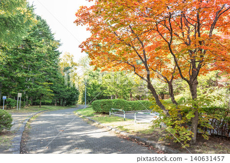 Autumn at Tenjinyama Green Space, Sapporo City Autumn at Tenjinyama Green Space, Sapporo City 140631457