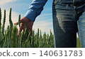 Exploring wheat fields, Agriculture close up, Man s hand in farmland, Caring for wheat, Beautiful farming landscape, Morning in the village, Life on a farm, Nature in a palm, Wheat growing strong 140631783