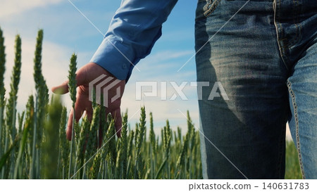 Exploring wheat fields, Agriculture close up, Man s hand in farmland, Caring for wheat, Beautiful farming landscape, Morning in the village, Life on a farm, Nature in a palm, Wheat growing strong Exploring wheat fields, Agriculture close up, Man s hand in farmland, Caring for wheat, Beautiful farming landscape, Morning in the village, Life on a farm, Nature in a palm, Wheat growing strong 140631783