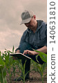 agriculture, farmer working corn field digital tablet, Modern farming with digital devices, Technology-driven cornfield, Fieldwork streamlined by tablets, Precision crop monitoring, Smart business in 140631810