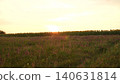 Sunset over a wildflower field, Beautiful countryside scenery, Peaceful sunflower meadow at dusk, Golden hour in nature, Serene landscape with sunflowers, Summer evening in the fields, Tranquil rural 140631814