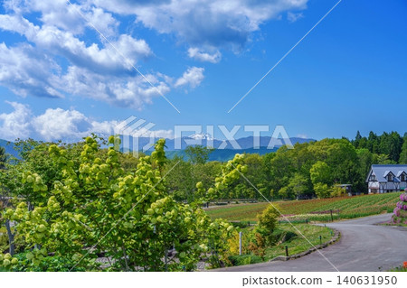 A beautiful landscape of a highland resort in early summer, the snow-capped Hakusan mountain range, flower fields and Western-style buildings against a blue sky. A beautiful landscape of a highland resort in early summer, the snow-capped Hakusan mountain range, flower fields and Western-style buildings against a blue sky. 140631950