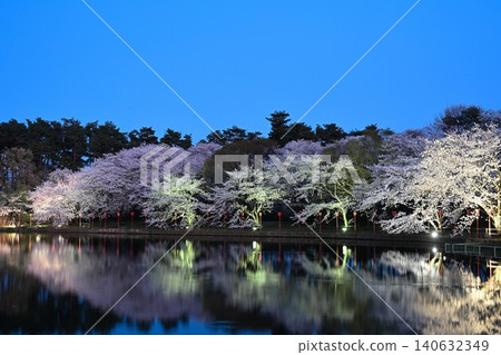 Cherry blossoms illuminated at night at Benten-gata Scenic Park (Seiro-machi, Niigata Prefecture) Cherry blossoms illuminated at night at Benten-gata Scenic Park (Seiro-machi, Niigata Prefecture) 140632349
