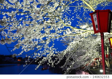 Cherry blossoms illuminated at night at Benten-gata Scenic Park (Seiro-machi, Niigata Prefecture) Cherry blossoms illuminated at night at Benten-gata Scenic Park (Seiro-machi, Niigata Prefecture) 140632353