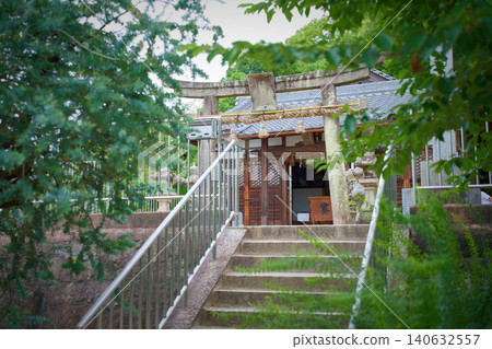 通往綠意盎然的神社的道路 通往綠意盎然的神社的道路 140632557
