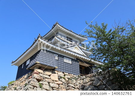 Hamamatsu Castle 2026 ③ Hamamatsu Castle 2026 ③ 140632761