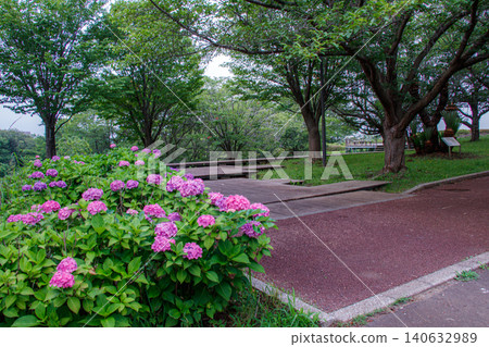 櫻山公園的花圃和蔭涼觀景台 櫻山公園的花圃和蔭涼觀景台 140632989