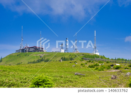 [Nagano Prefecture] Summer at Utsukushigahara Plateau - Ōgatō and grazing cows 140633762