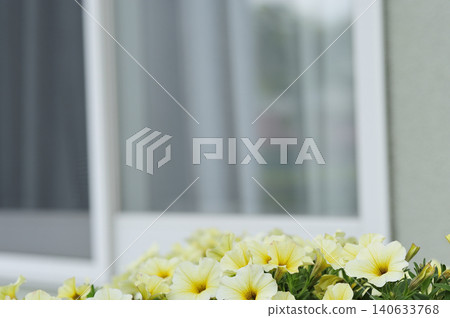Flowers placed on the wooden deck Flowers placed on the wooden deck 140633768