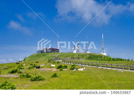 [Nagano Prefecture] Summer at Utsukushigahara Plateau - Ōgatō and grazing cows 140633867