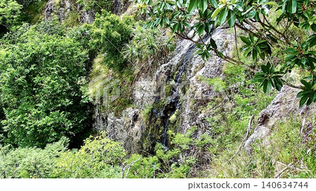 東京小笠原群島父島岩壁上傾瀉而下的瀑布。 東京小笠原群島父島岩壁上傾瀉而下的瀑布。 140634744
