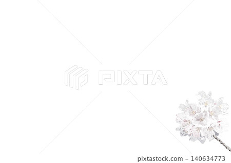 櫻花花瓣落下的背景材料 140634773