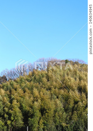 這些山脈曾經因為植樹造林而變得美麗，但現在卻被竹林覆蓋，日漸破敗。 140634945
