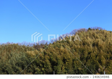 The mountains, once beautiful due to reforestation, are now overgrown with bamboo groves and are falling into disrepair. 140634946