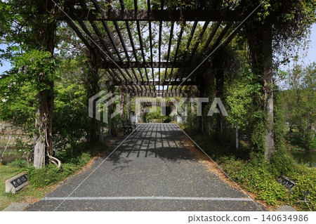 濱名湖花園公園國際花園 2026 ⑧ 濱名湖花園公園國際花園 2026 ⑧ 140634986