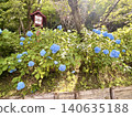 Spring continues, summer begins, a blue premonition has bloomed. 140635188
