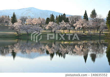 Cherry blossoms in full bloom at Matsugamine (Joetsu City, Niigata Prefecture) Cherry blossoms in full bloom at Matsugamine (Joetsu City, Niigata Prefecture) 140635352