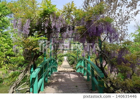 Hamana Lake Garden Park Flower Museum (Impressionist Garden, Flower Beauty Garden) 2026⑦ Hamana Lake Garden Park Flower Museum (Impressionist Garden, Flower Beauty Garden) 2026⑦ 140635446