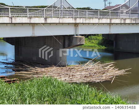 Accumulated driftwood Accumulated driftwood 140635488
