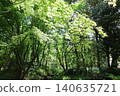 Fresh greenery at Hamana Lake Garden Park 2026 ③ 140635721