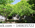 Fresh greenery at Hamana Lake Garden Park 2026 ④ 140635722