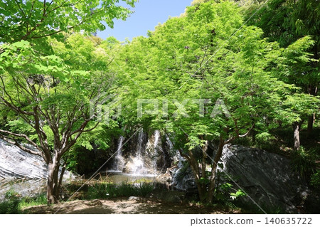 Fresh greenery at Hamana Lake Garden Park 2026 ④ Fresh greenery at Hamana Lake Garden Park 2026 ④ 140635722