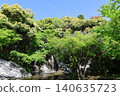 Fresh greenery at Hamana Lake Garden Park 2026 (Part 5) 140635723