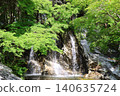 Fresh greenery at Hamana Lake Garden Park 2026⑥ 140635724