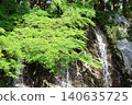 Fresh greenery at Hamana Lake Garden Park 2026 (Part 7) 140635725