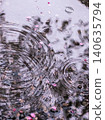 Spring water puddle 140635794