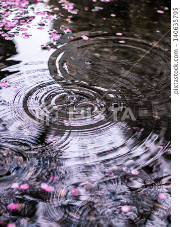 Spring water puddle Spring water puddle 140635795