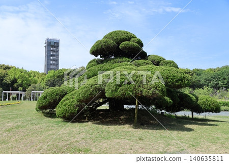 濱名湖花園公園 2026 ② 濱名湖花園公園 2026 ② 140635811