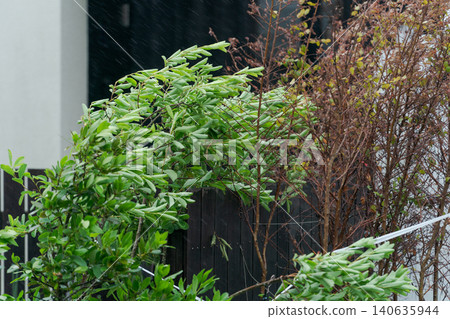 花園裡的樹木正遭受暴風雨的衝擊 花園裡的樹木正遭受暴風雨的衝擊 140635944