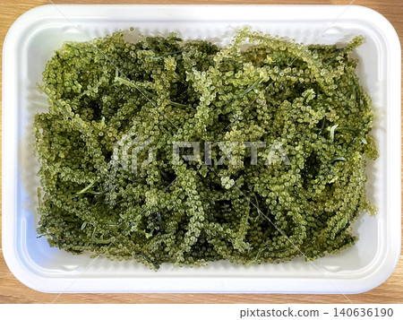 Fresh sea grapes, Okinawa, Kubirezuta, green caviar, close-up Fresh sea grapes, Okinawa, Kubirezuta, green caviar, close-up 140636190