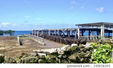 Pastures, the sea, and grazing cattle on Yonaguni Island in the Yaeyama Islands of Okinawa Prefecture 140636363