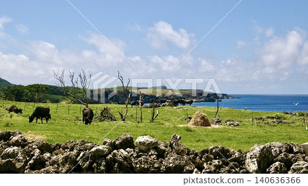 Pastures, the sea, and grazing cattle on Yonaguni Island in the Yaeyama Islands of Okinawa Prefecture Pastures, the sea, and grazing cattle on Yonaguni Island in the Yaeyama Islands of Okinawa Prefecture 140636366