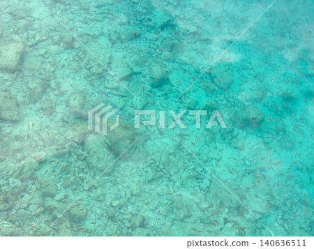 Schools of small fish swimming in the crystal-clear shallow waters and the underwater scenery of the seabed. Schools of small fish swimming in the crystal-clear shallow waters and the underwater scenery of the seabed. 140636511