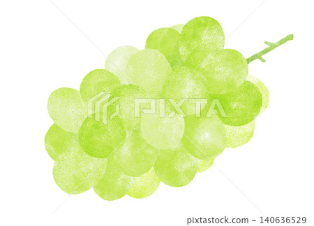 A watercolor illustration of fresh, juicy Shine Muscat grapes (without leaves). A watercolor illustration of fresh, juicy Shine Muscat grapes (without leaves). 140636529