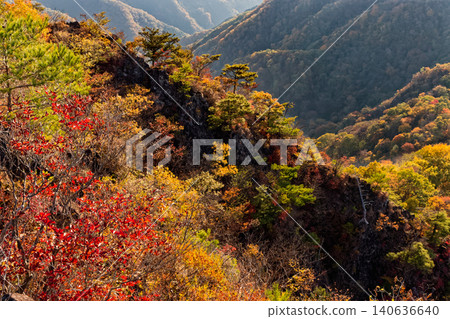 Autumn foliage along the ridge of Mt. Shikadake in western Joshu Autumn foliage along the ridge of Mt. Shikadake in western Joshu 140636640