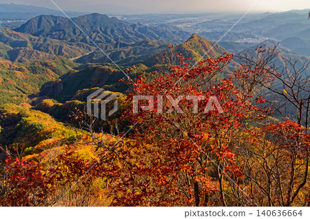Autumn foliage in western Joshu - a view of the Kanto Plain from Mt. Ninodake on Mt. Shikadake. Autumn foliage in western Joshu - a view of the Kanto Plain from Mt. Ninodake on Mt. Shikadake. 140636664