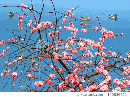莫羅卡池塘的紅梅花 140636821