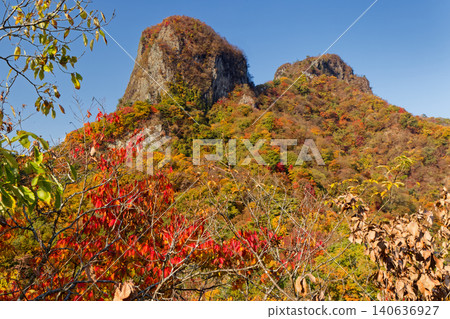 Deer of autumnal leaves seen from the Nishito-shi and Mt. Deer of autumnal leaves seen from the Nishito-shi and Mt. 140636927