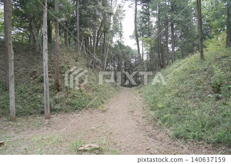 東京都瀧山公園、瀧山城跡、瀧山城 140637159