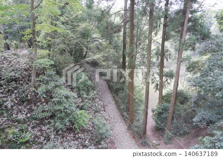 東京都瀧山公園、瀧山城跡、瀧山城 東京都瀧山公園、瀧山城跡、瀧山城 140637189