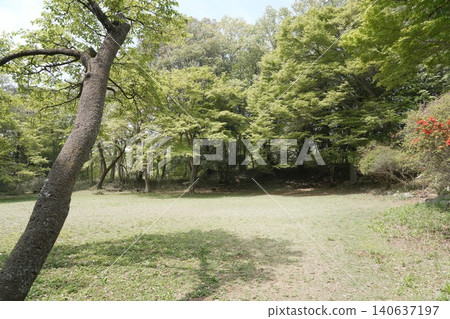 東京都瀧山公園、瀧山城跡、瀧山城 東京都瀧山公園、瀧山城跡、瀧山城 140637197